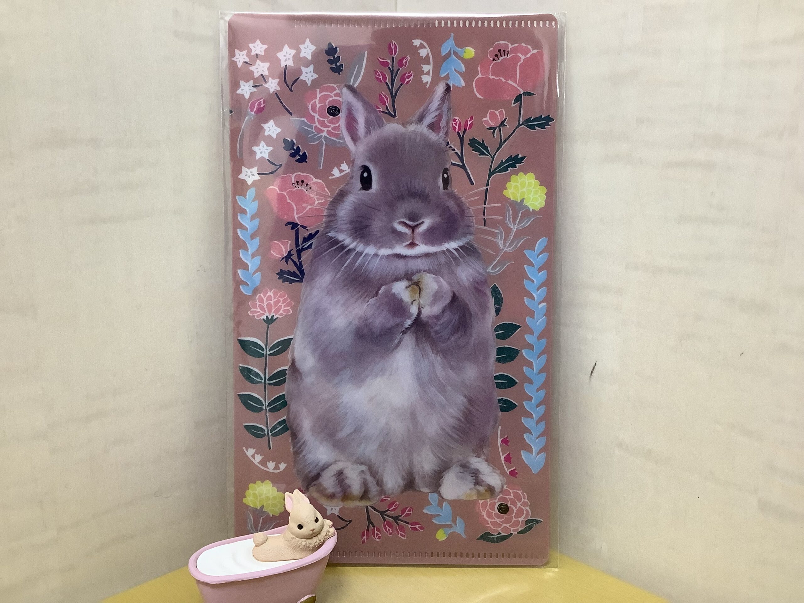 11/15(土)・11/16(日)の予約の空き状況