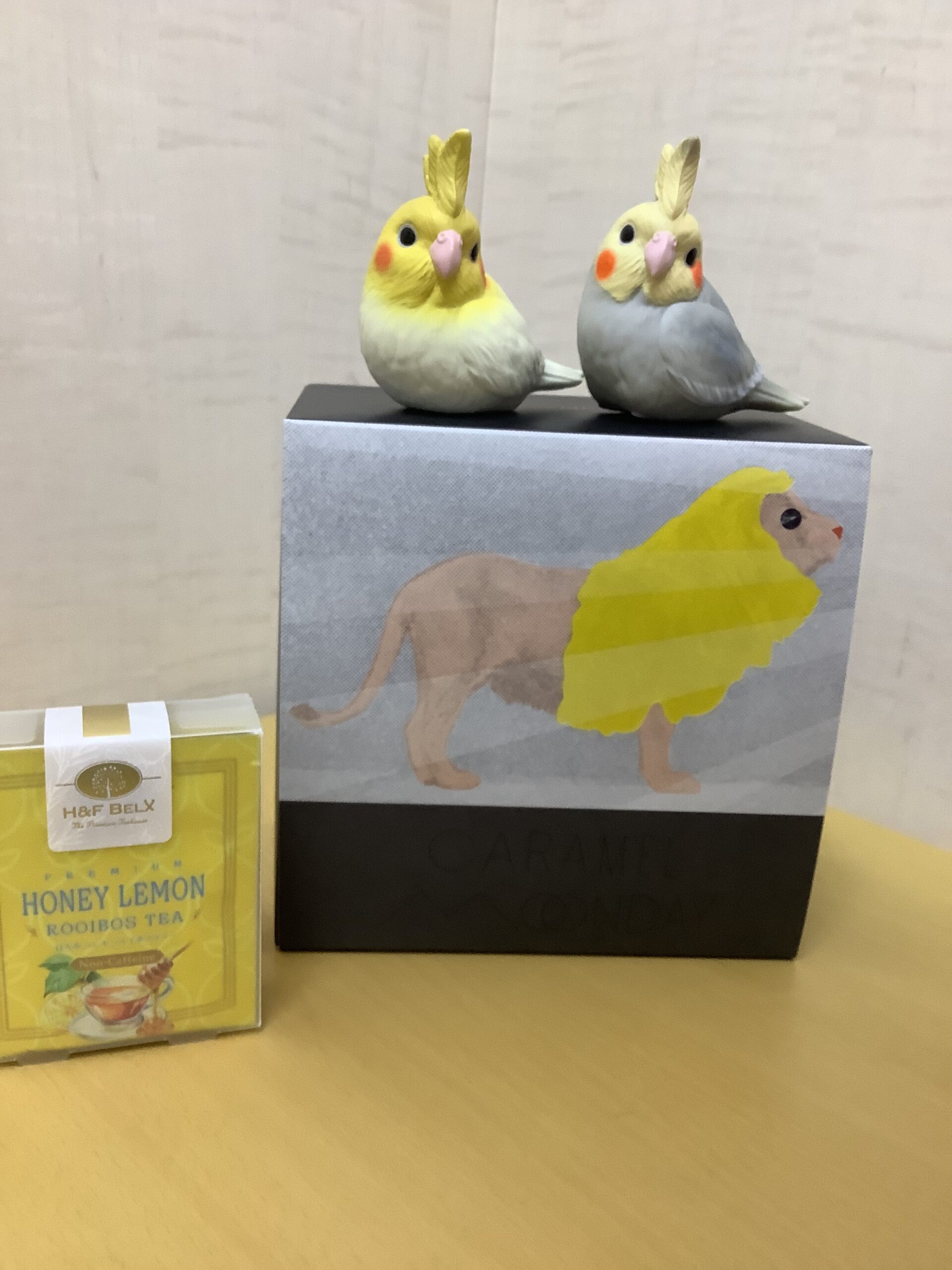 2/14(土)・2/15(日)の予約の空き状況