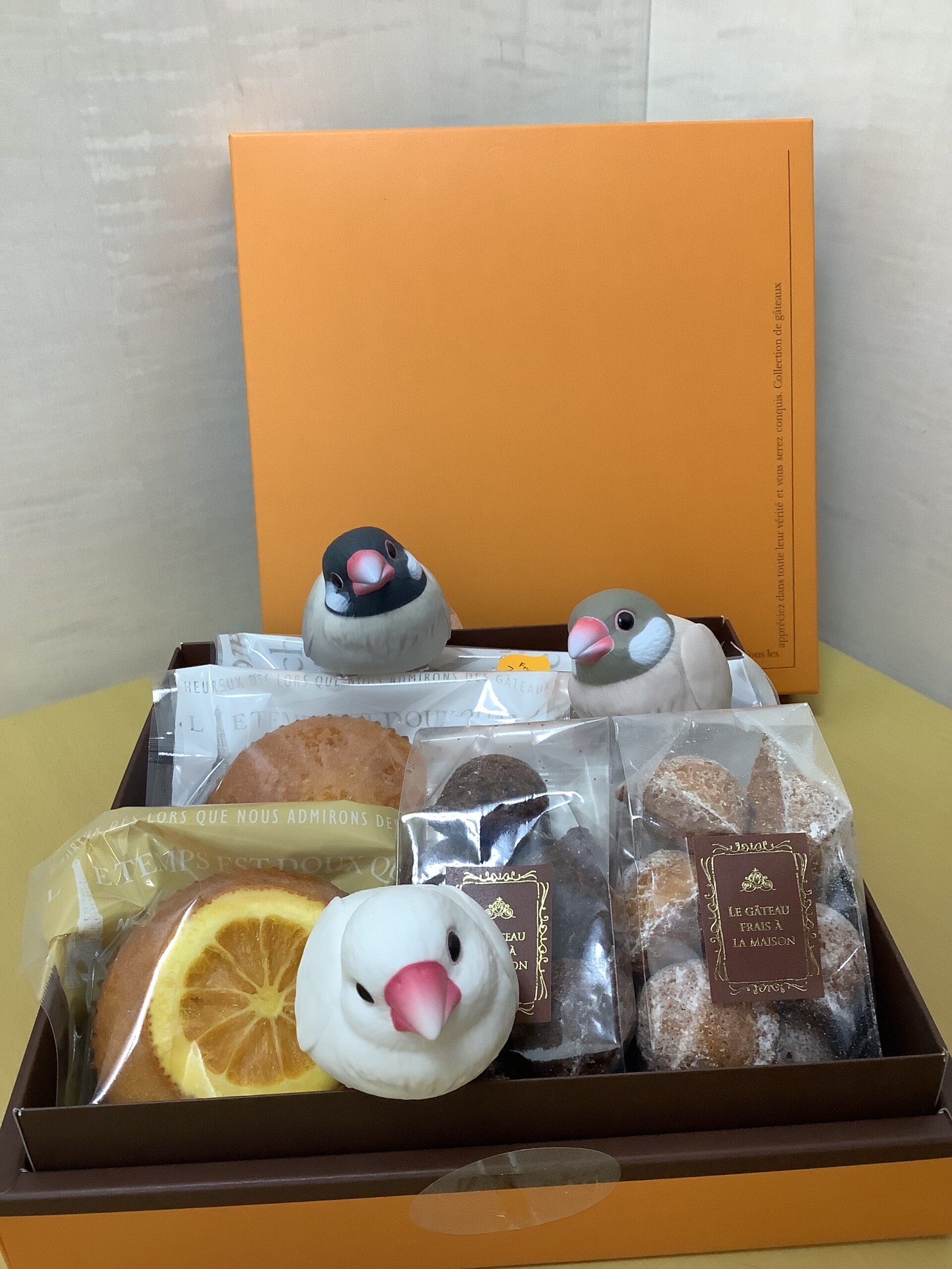 2/25(水)〜2/27(金)の予約の空き状況