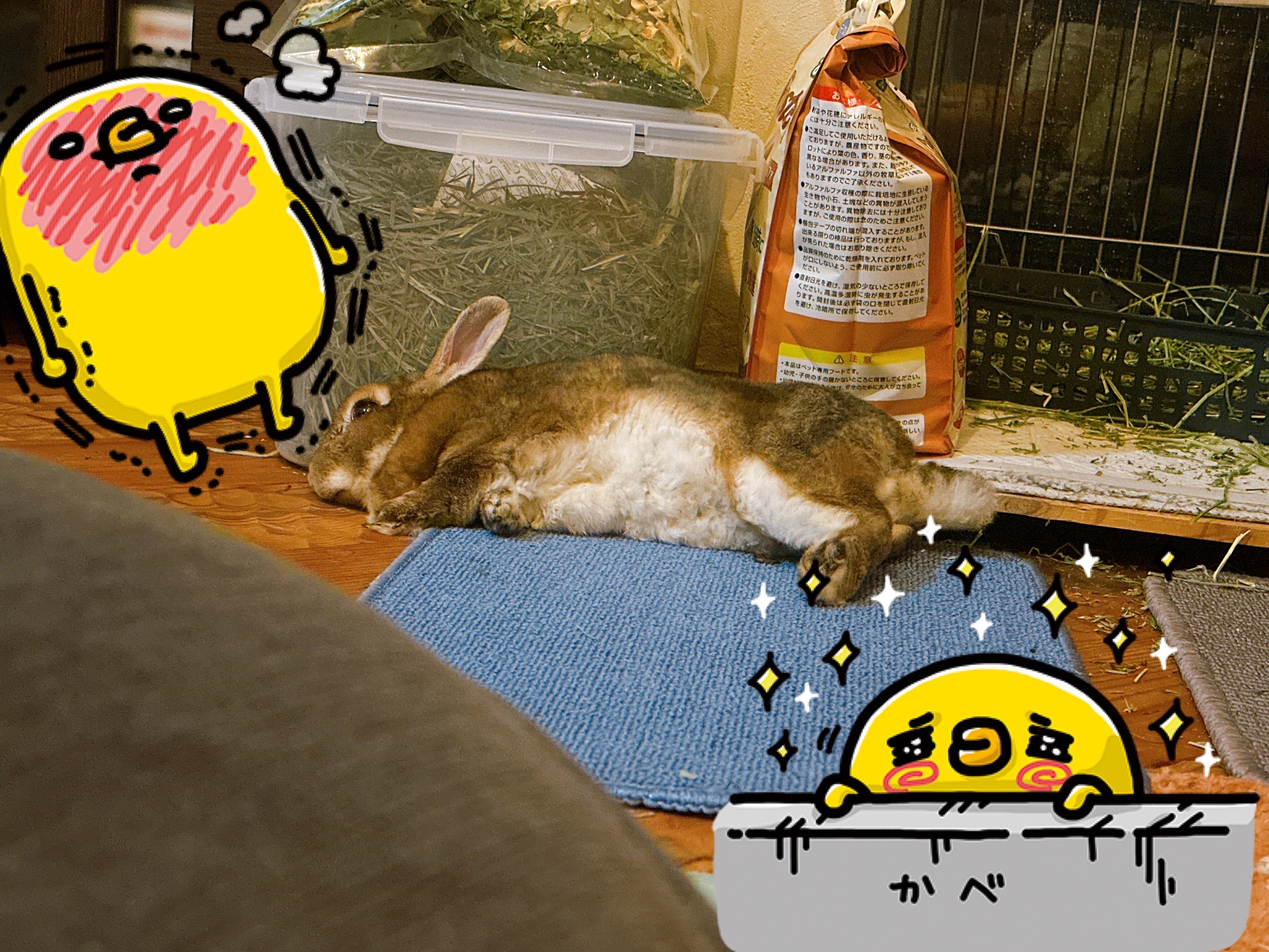 4/18(土)・4/19(日)の予約の空き状況