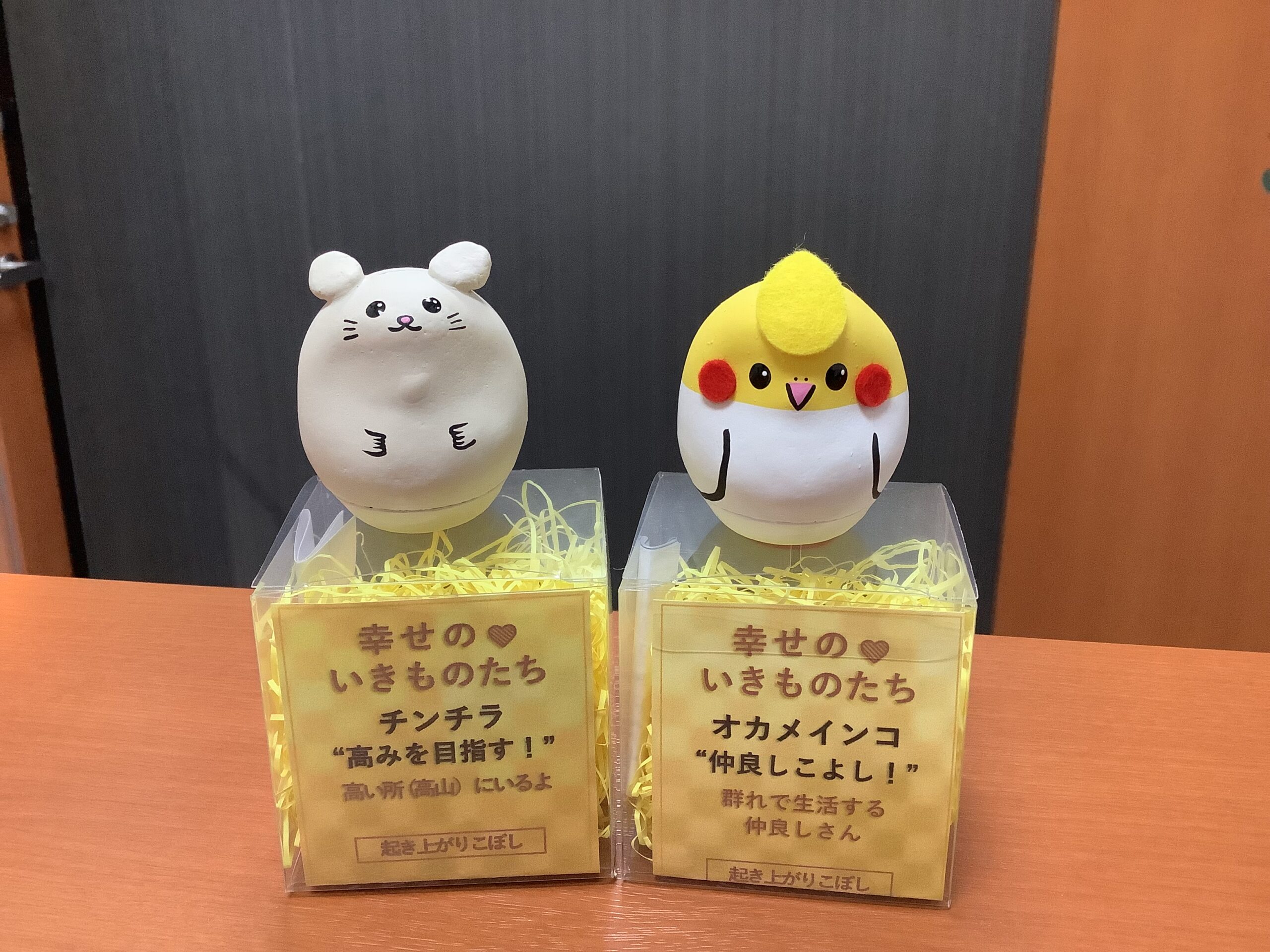 5/25(月)〜5/29(金)の予約の空き状況