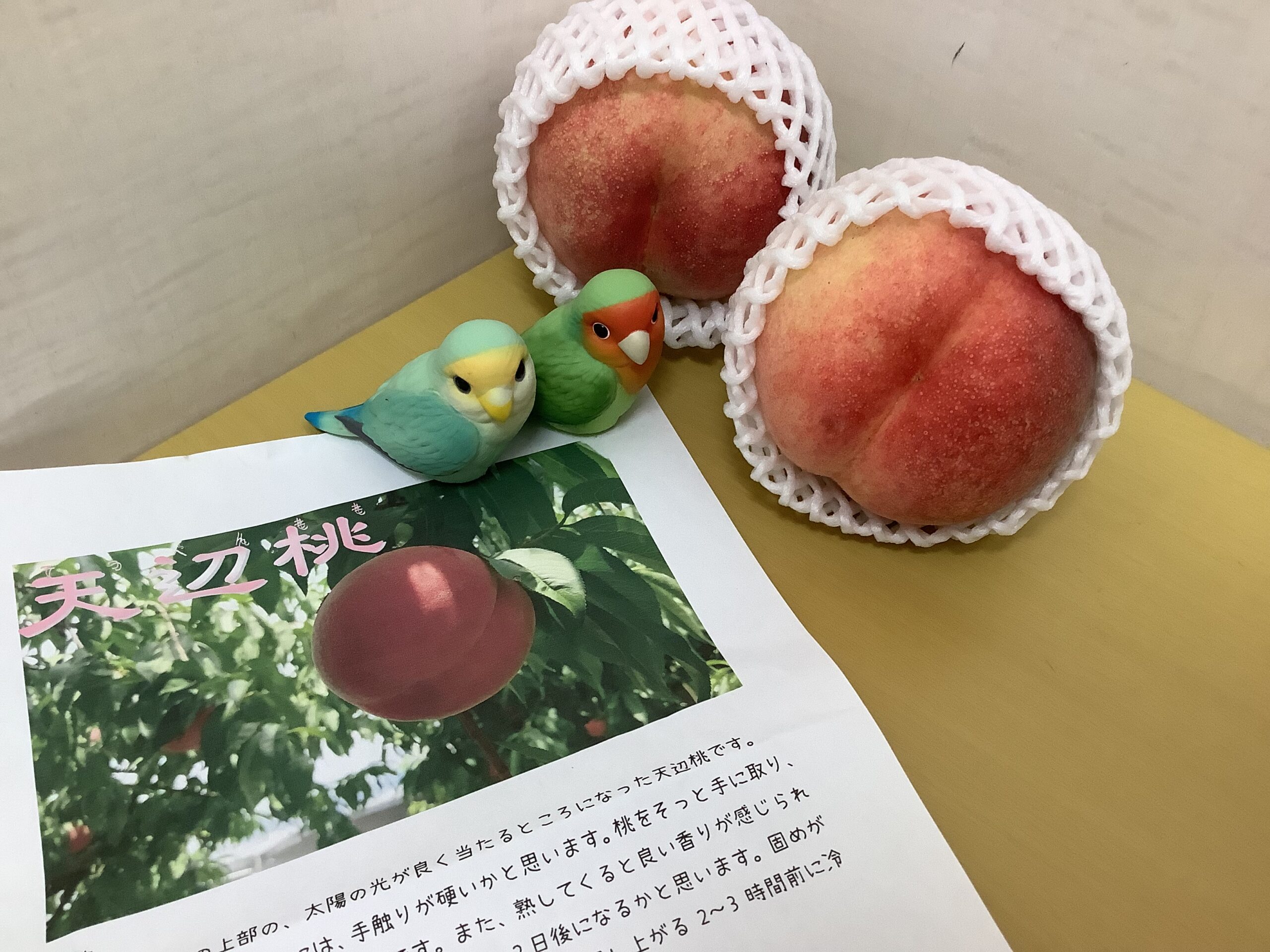 7/25(土)・7/26 (金)の予約の空き状況