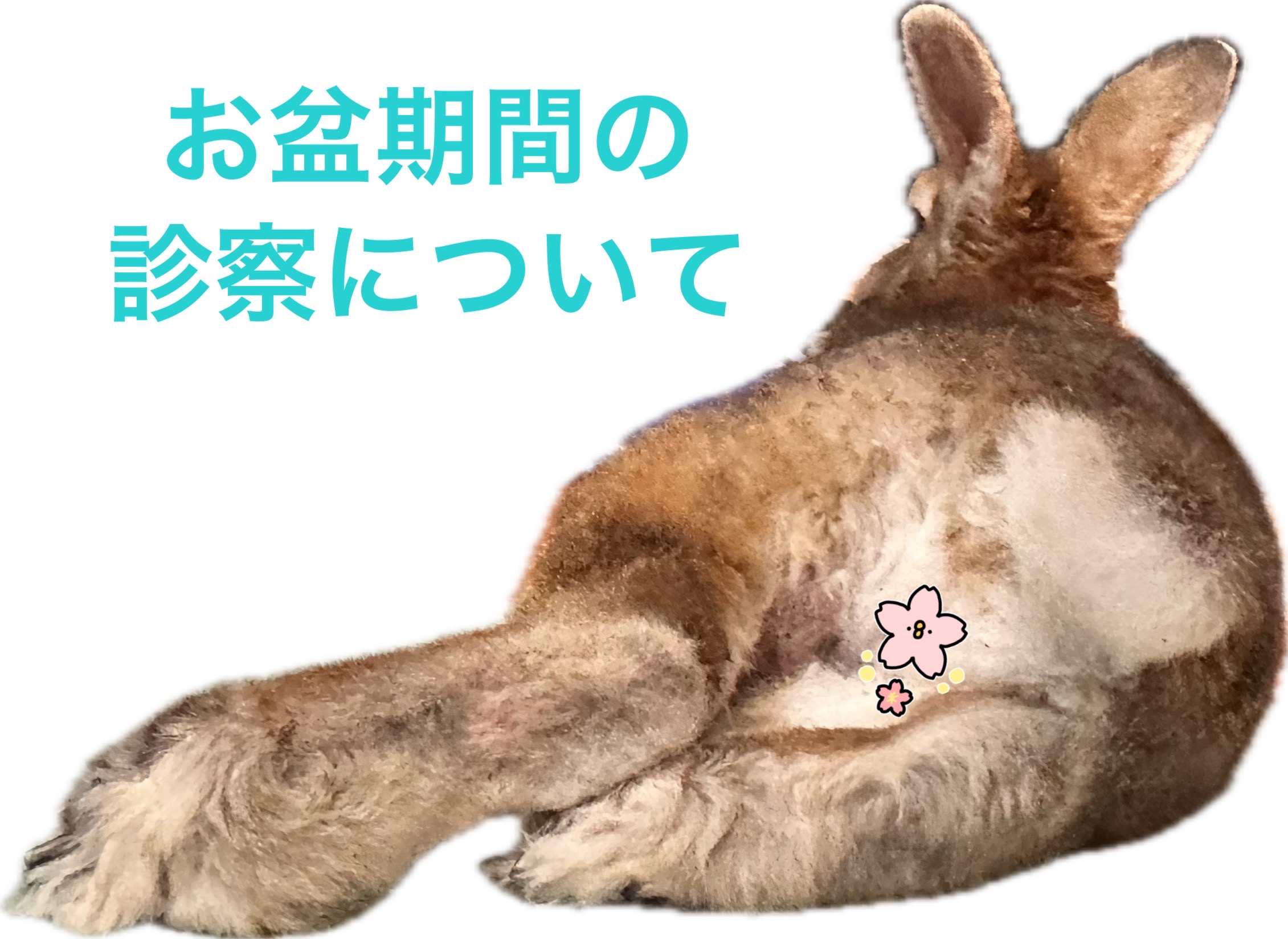 8/8(土)・8/9(日)の予約の空き状況